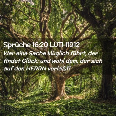 Picture 02 - Sprüche 16:20 LUTH1912 - Wer eine Sache klüglich führt, der findet - Bible Verse Picture