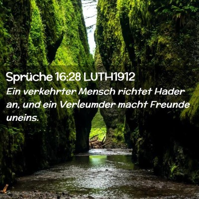 Picture 02 - Sprüche 16:28 LUTH1912 - Ein verkehrter Mensch richtet Hader an, und ein - Bible Verse Picture