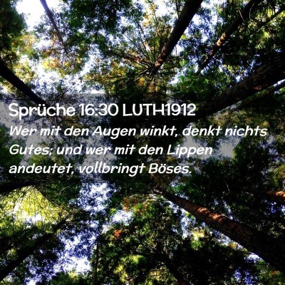 Picture 02 - Sprüche 16:30 LUTH1912 - Wer mit den Augen winkt, denkt nichts Gutes; und - Bible Verse Picture