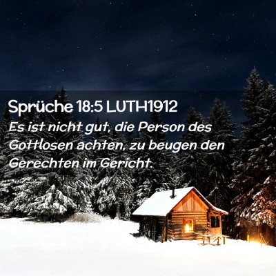 Picture 02 - Sprüche 18:5 LUTH1912 - Es ist nicht gut, die Person des Gottlosen - Bible Verse Picture