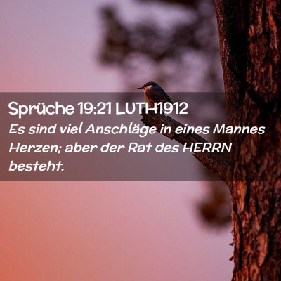 Picture 02 - Sprüche 19:21 LUTH1912 - Es sind viel Anschläge in eines Mannes Herzen; - Bible Verse Picture