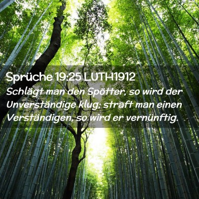 Picture 02 - Sprüche 19:25 LUTH1912 - Schlägt man den Spötter, so wird der - Bible Verse Picture