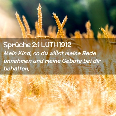 Picture 02 - Sprüche 2:1 LUTH1912 - Mein Kind, so du willst meine Rede annehmen und - Bible Verse Picture