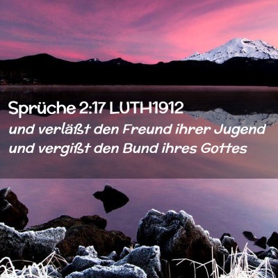 Picture 02 - Sprüche 2:17 LUTH1912 - und verläßt den Freund ihrer Jugend und - Bible Verse Picture