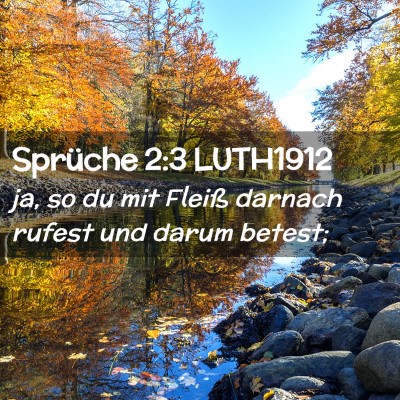 Picture 02 - Sprüche 2:3 LUTH1912 - ja, so du mit Fleiß darnach rufest und darum - Bible Verse Picture
