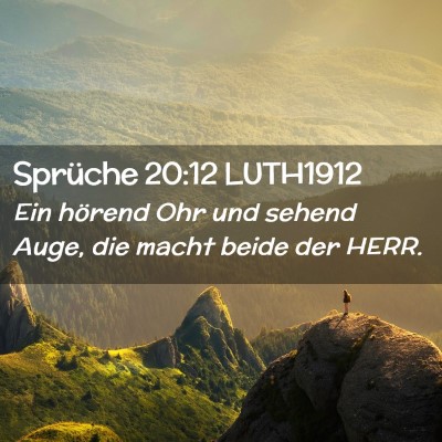 Picture 02 - Sprüche 20:12 LUTH1912 - Ein hörend Ohr und sehend Auge, die macht beide - Bible Verse Picture