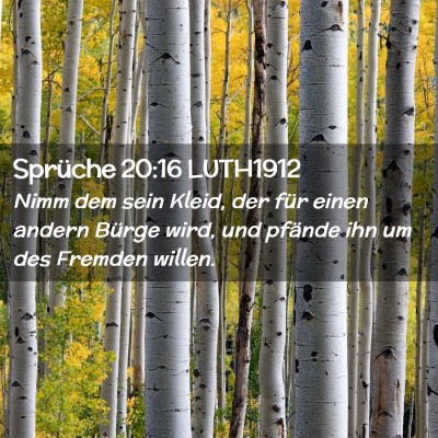 Picture 02 - Sprüche 20:16 LUTH1912 - Nimm dem sein Kleid, der für einen andern Bürge - Bible Verse Picture