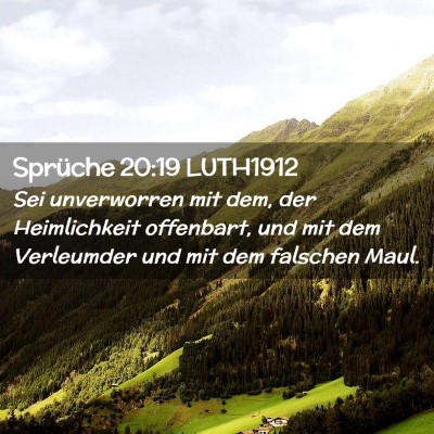 Picture 02 - Sprüche 20:19 LUTH1912 - Sei unverworren mit dem, der Heimlichkeit - Bible Verse Picture