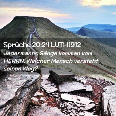 Picture 02 - Sprüche 20:24 LUTH1912 - Jedermanns Gänge kommen vom HERRN. Welcher - Bible Verse Picture