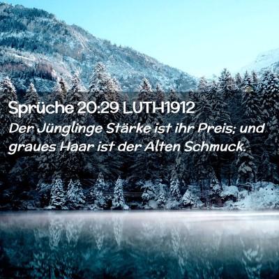 Picture 02 - Sprüche 20:29 LUTH1912 - Der Jünglinge Stärke ist ihr Preis; und graues - Bible Verse Picture