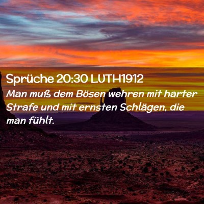Picture 02 - Sprüche 20:30 LUTH1912 - Man muß dem Bösen wehren mit harter Strafe und - Bible Verse Picture