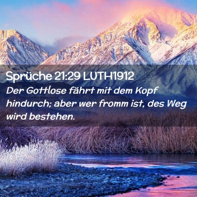 Picture 02 - Sprüche 21:29 LUTH1912 - Der Gottlose fährt mit dem Kopf hindurch; aber - Bible Verse Picture