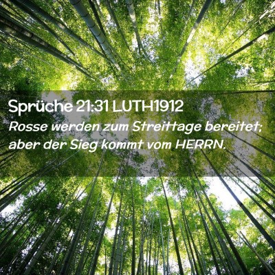 Picture 02 - Sprüche 21:31 LUTH1912 - Rosse werden zum Streittage bereitet; aber der - Bible Verse Picture