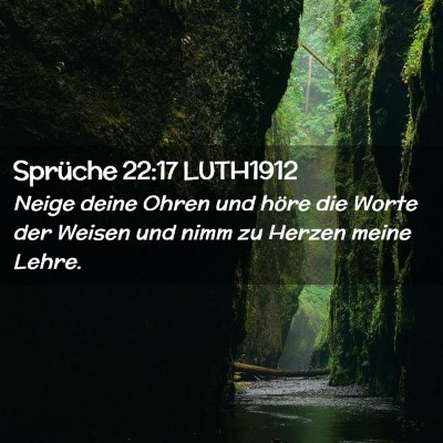 Picture 02 - Sprüche 22:17 LUTH1912 - Neige deine Ohren und höre die Worte der Weisen - Bible Verse Picture