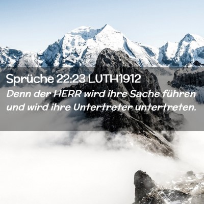 Picture 02 - Sprüche 22:23 LUTH1912 - Denn der HERR wird ihre Sache führen und wird - Bible Verse Picture