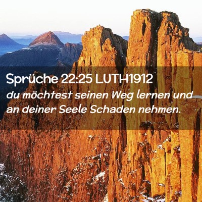Picture 02 - Sprüche 22:25 LUTH1912 - du möchtest seinen Weg lernen und an deiner - Bible Verse Picture