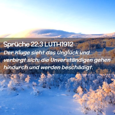 Picture 02 - Sprüche 22:3 LUTH1912 - Der Kluge sieht das Unglück und verbirgt sich; - Bible Verse Picture