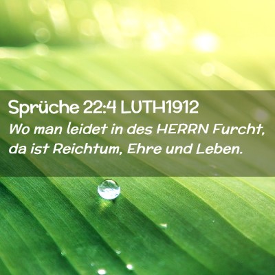 Picture 02 - Sprüche 22:4 LUTH1912 - Wo man leidet in des HERRN Furcht, da ist - Bible Verse Picture