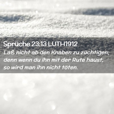 Picture 02 - Sprüche 23:13 LUTH1912 - Laß nicht ab den Knaben zu züchtigen; denn wenn - Bible Verse Picture