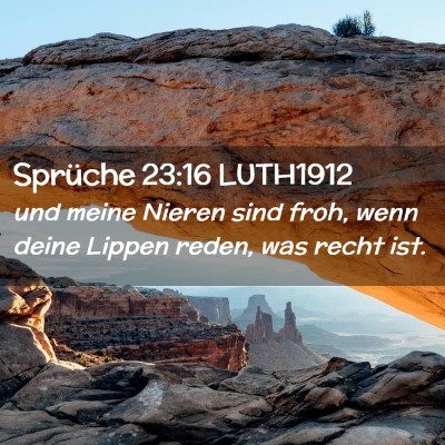 Picture 02 - Sprüche 23:16 LUTH1912 - und meine Nieren sind froh, wenn deine Lippen - Bible Verse Picture