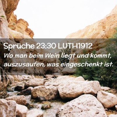 Picture 02 - Sprüche 23:30 LUTH1912 - Wo man beim Wein liegt und kommt, auszusaufen, - Bible Verse Picture