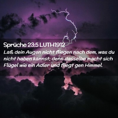 Picture 02 - Sprüche 23:5 LUTH1912 - Laß dein Augen nicht fliegen nach dem, was du - Bible Verse Picture