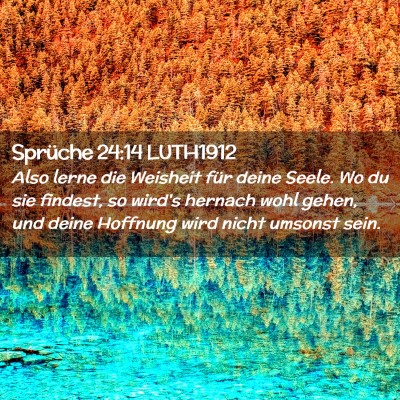 Picture 02 - Sprüche 24:14 LUTH1912 - Also lerne die Weisheit für deine Seele. Wo du - Bible Verse Picture