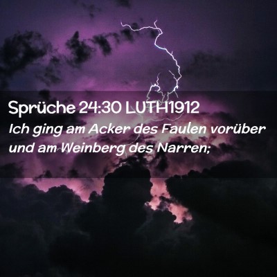 Picture 02 - Sprüche 24:30 LUTH1912 - Ich ging am Acker des Faulen vorüber und am - Bible Verse Picture