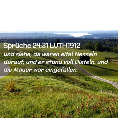 Picture 02 - Sprüche 24:31 LUTH1912 - und siehe, da waren eitel Nesseln darauf, und er - Bible Verse Picture