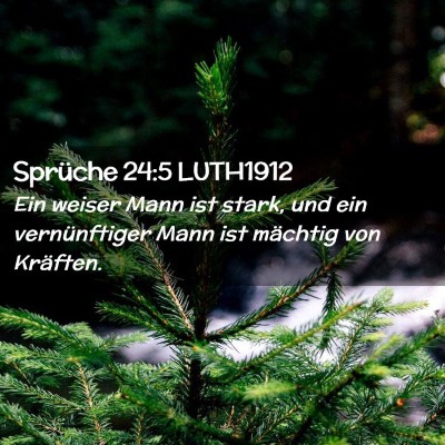 Picture 02 - Sprüche 24:5 LUTH1912 - Ein weiser Mann ist stark, und ein vernünftiger - Bible Verse Picture
