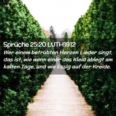 Picture 02 - Sprüche 25:20 LUTH1912 - Wer einem betrübten Herzen Lieder singt, das - Bible Verse Picture