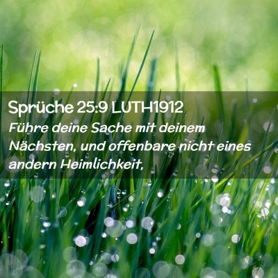 Picture 02 - Sprüche 25:9 LUTH1912 - Führe deine Sache mit deinem Nächsten, und - Bible Verse Picture