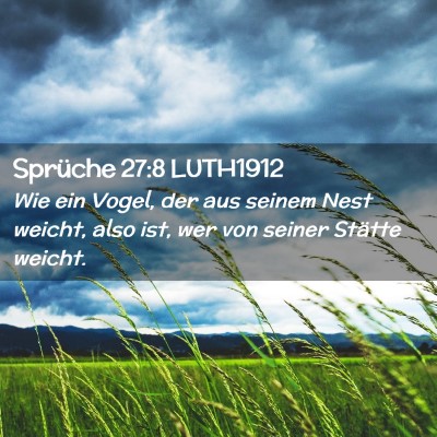 Picture 02 - Sprüche 27:8 LUTH1912 - Wie ein Vogel, der aus seinem Nest weicht, also - Bible Verse Picture