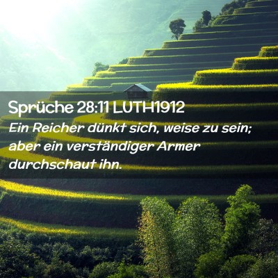 Picture 02 - Sprüche 28:11 LUTH1912 - Ein Reicher dünkt sich, weise zu sein; aber ein - Bible Verse Picture