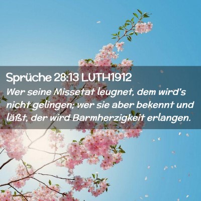 Picture 02 - Sprüche 28:13 LUTH1912 - Wer seine Missetat leugnet, dem wird's nicht - Bible Verse Picture