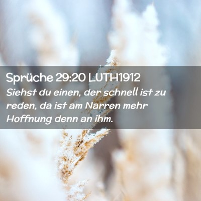 Picture 02 - Sprüche 29:20 LUTH1912 - Siehst du einen, der schnell ist zu reden, da ist - Bible Verse Picture