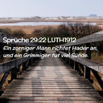 Picture 02 - Sprüche 29:22 LUTH1912 - Ein zorniger Mann richtet Hader an, und ein - Bible Verse Picture