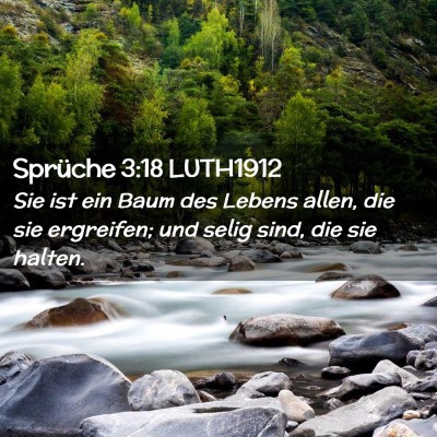 Picture 02 - Sprüche 3:18 LUTH1912 - Sie ist ein Baum des Lebens allen, die sie - Bible Verse Picture