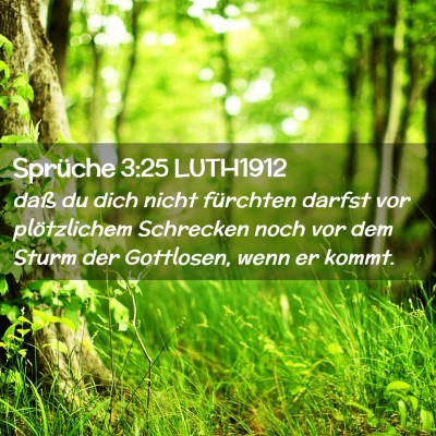 Picture 02 - Sprüche 3:25 LUTH1912 - daß du dich nicht fürchten darfst vor - Bible Verse Picture