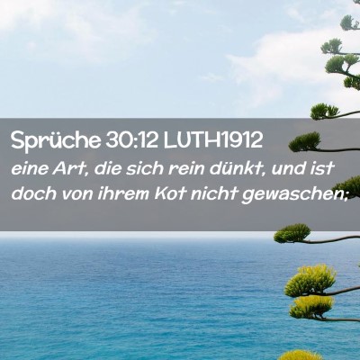 Picture 02 - Sprüche 30:12 LUTH1912 - eine Art, die sich rein dünkt, und ist doch von - Bible Verse Picture