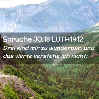Picture 02 - Sprüche 30:18 LUTH1912 - Drei sind mir zu wunderbar, und das vierte - Bible Verse Picture
