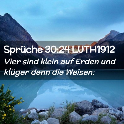 Picture 02 - Sprüche 30:24 LUTH1912 - Vier sind klein auf Erden und klüger denn die - Bible Verse Picture