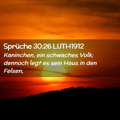 Picture 02 - Sprüche 30:26 LUTH1912 - Kaninchen, ein schwaches Volk; dennoch legt es - Bible Verse Picture