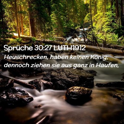 Picture 02 - Sprüche 30:27 LUTH1912 - Heuschrecken, haben keinen König; dennoch ziehen - Bible Verse Picture