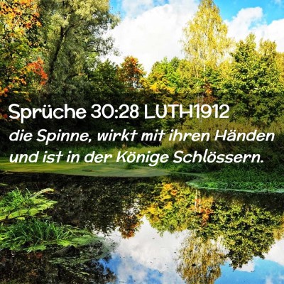 Picture 02 - Sprüche 30:28 LUTH1912 - die Spinne, wirkt mit ihren Händen und ist in - Bible Verse Picture