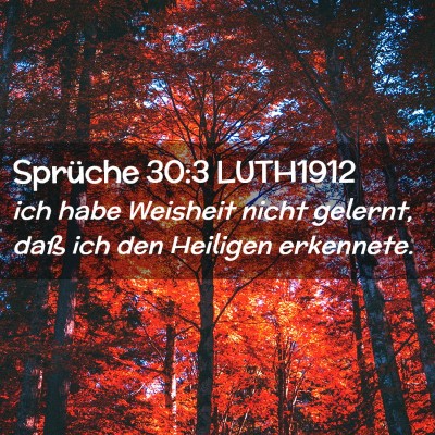 Picture 02 - Sprüche 30:3 LUTH1912 - ich habe Weisheit nicht gelernt, daß ich den - Bible Verse Picture