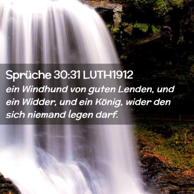 Picture 02 - Sprüche 30:31 LUTH1912 - ein Windhund von guten Lenden, und ein Widder, - Bible Verse Picture