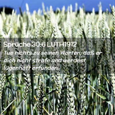 Picture 02 - Sprüche 30:6 LUTH1912 - Tue nichts zu seinen Worten, daß er dich nicht - Bible Verse Picture