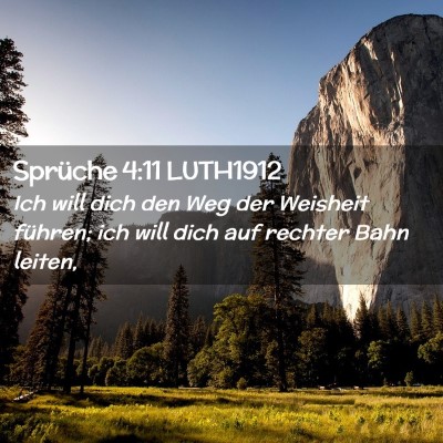 Picture 02 - Sprüche 4:11 LUTH1912 - Ich will dich den Weg der Weisheit führen; ich - Bible Verse Picture