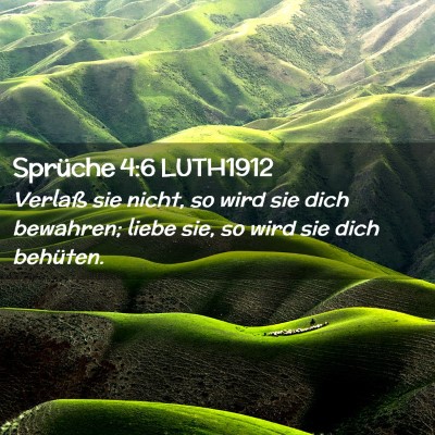 Picture 02 - Sprüche 4:6 LUTH1912 - Verlaß sie nicht, so wird sie dich bewahren; - Bible Verse Picture